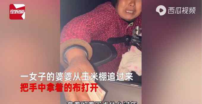 婆婆半夜從玉米棚追來 將一年賣玉米的錢塞給兒媳婦過年 引網(wǎng)友淚目