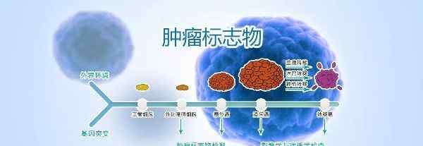 serum是什么意思 肺癌的四個腫瘤標(biāo)志物 肺癌確診的檢查指標(biāo)是什么意思？