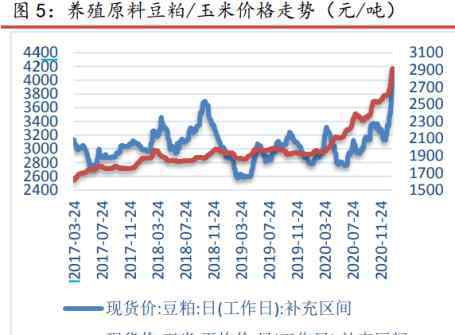 火箭蛋 “火箭蛋”啞火大跌，要跌破4元？