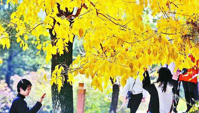 潭拓寺 賞秋別只去北京潭拓寺 這座古剎離得不遠(yuǎn)景色也不錯