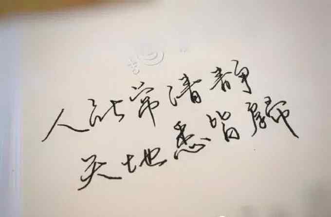 我與貍奴不出門 《中國詩詞大會》武亦姝字體圈粉 她從詞中讀出不一樣的陸游