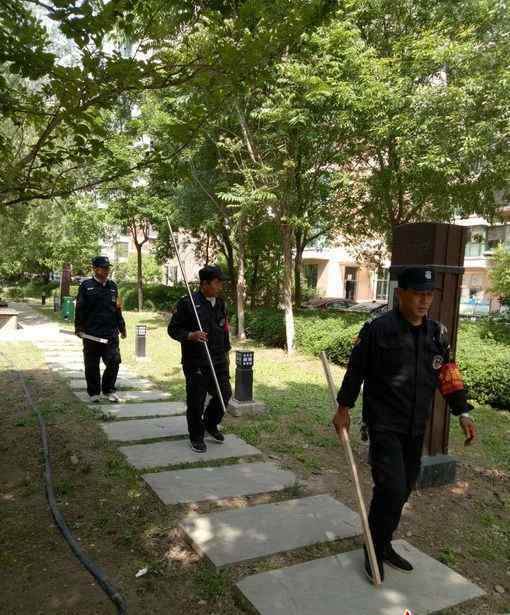 北京多人被狗咬 北京多人被狗咬傷 黃色疑似流浪犬此前出現在青年路附近