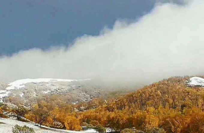 北京門頭溝下雪 北京門頭溝靈山下雪了！延慶冬奧賽區(qū)昨夜現(xiàn)“海坨戴雪”美景