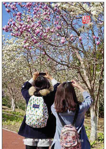 北京奧林匹克森林公園 北京奧林匹克森林公園的春天