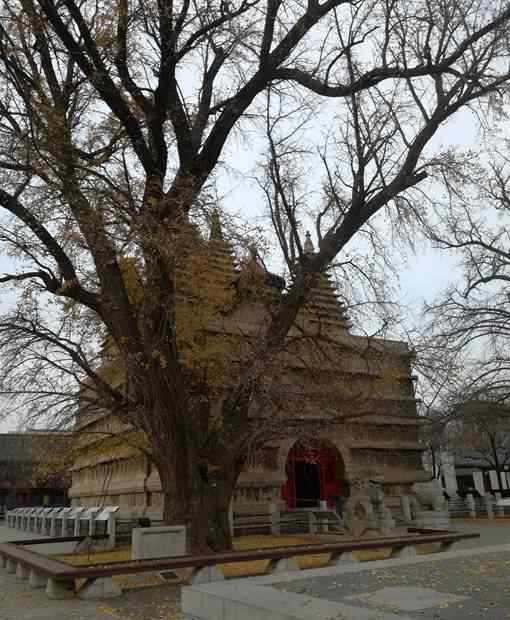 王府井古人類文化遺址博物館 喚醒北京沉睡的博物館，有的身居鬧市卻很寂寞，有的已經(jīng)被盤活