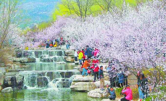 植物園桃花節(jié) 北京植物園桃花節(jié)即將開幕 “品霞”“品虹”交相輝映