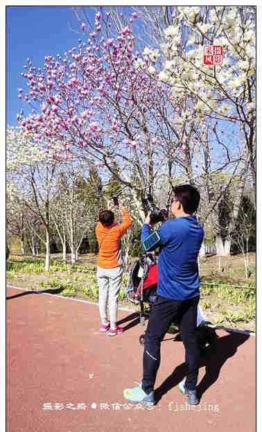 北京奧林匹克森林公園 北京奧林匹克森林公園的春天