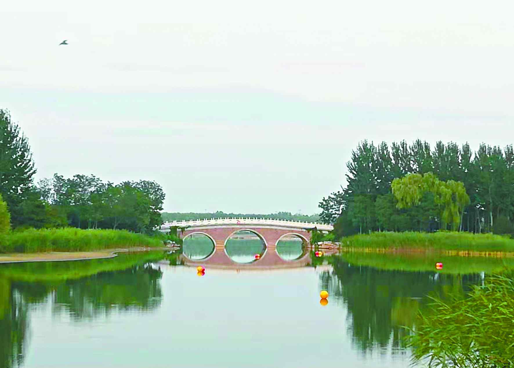 念壇公園 探訪北京大興念壇公園：西溪倩影濕地醉人心