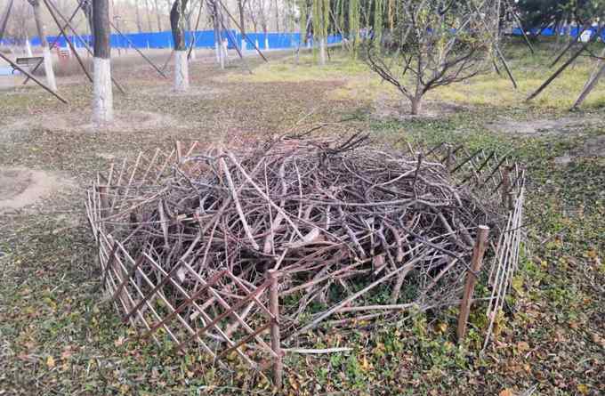 本杰士堆 環(huán)保建材、生態(tài)大宅！這些公園裝飾物竟是北京野生動物“安居房”