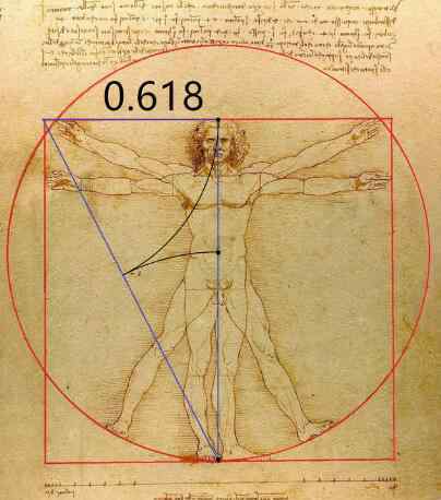 達(dá)芬奇的維特魯威人三大秘密,天文、星座、人體（人體圖震驚世界
