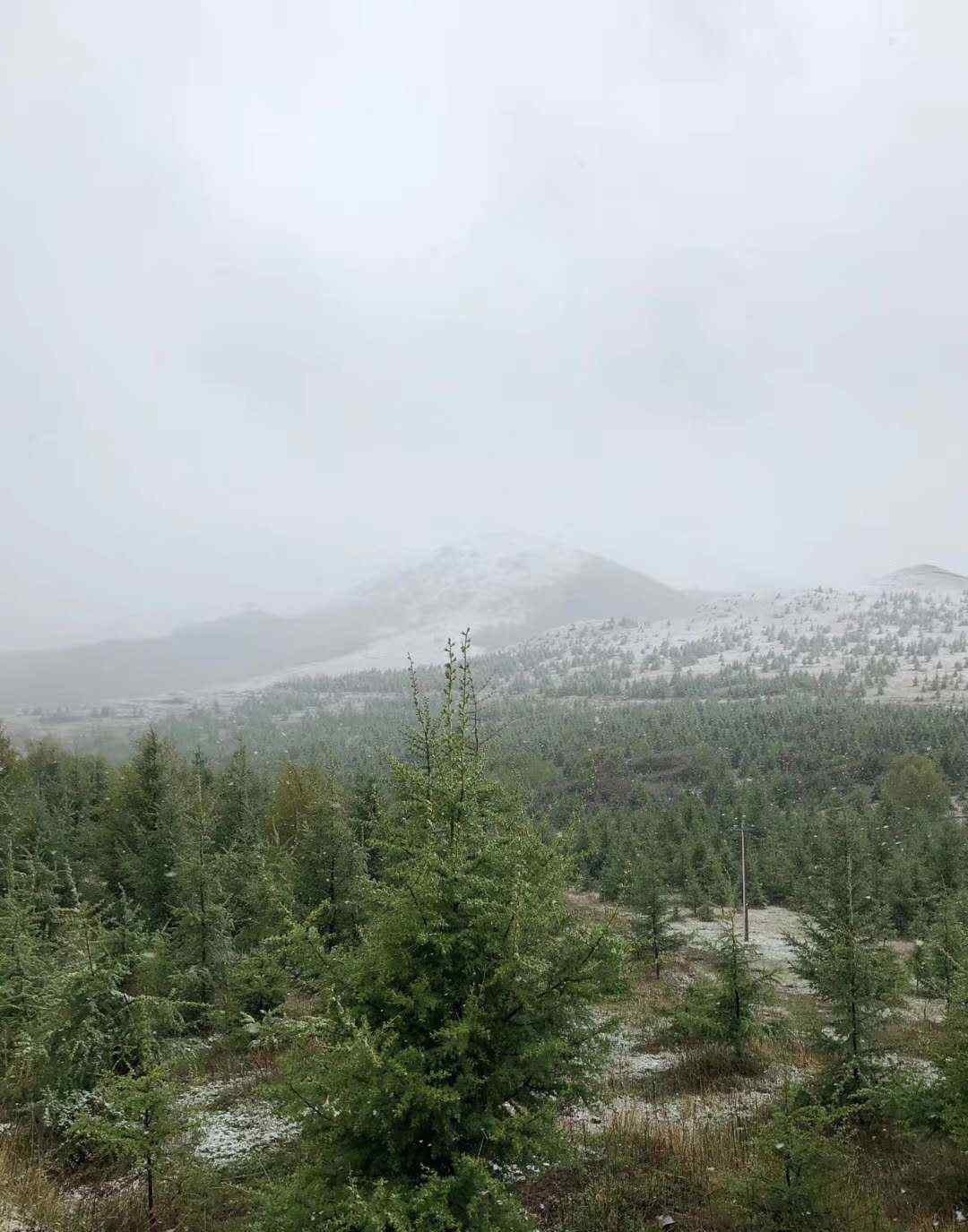 北京大雪圖片 5月飄雪！今天，北京靈山下雪了，組圖來了