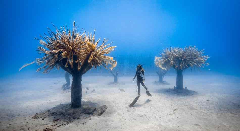 世界水下博物館有哪些：大西洋博物館、白鶴梁水下博物館