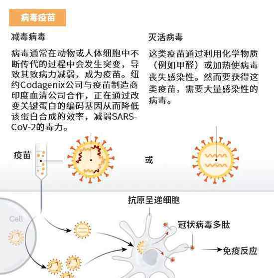 科學(xué)家們希望通過(guò)八種方式實(shí)現(xiàn)對(duì)SARS-CoV-2的免疫