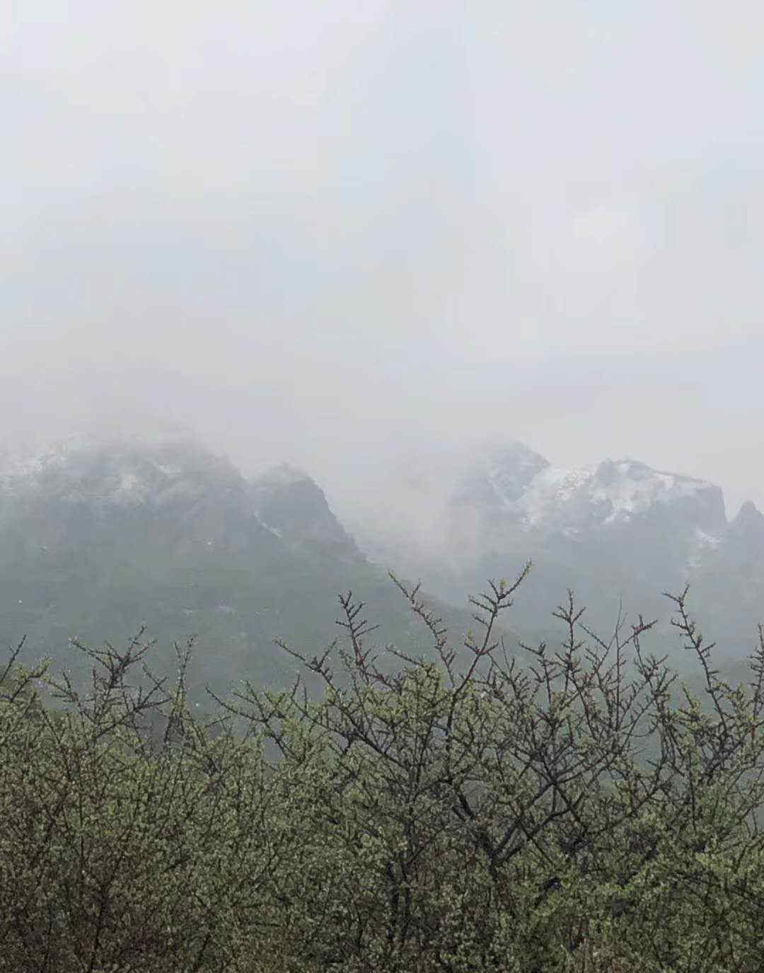 北京大雪圖片 5月飄雪！今天，北京靈山下雪了，組圖來了