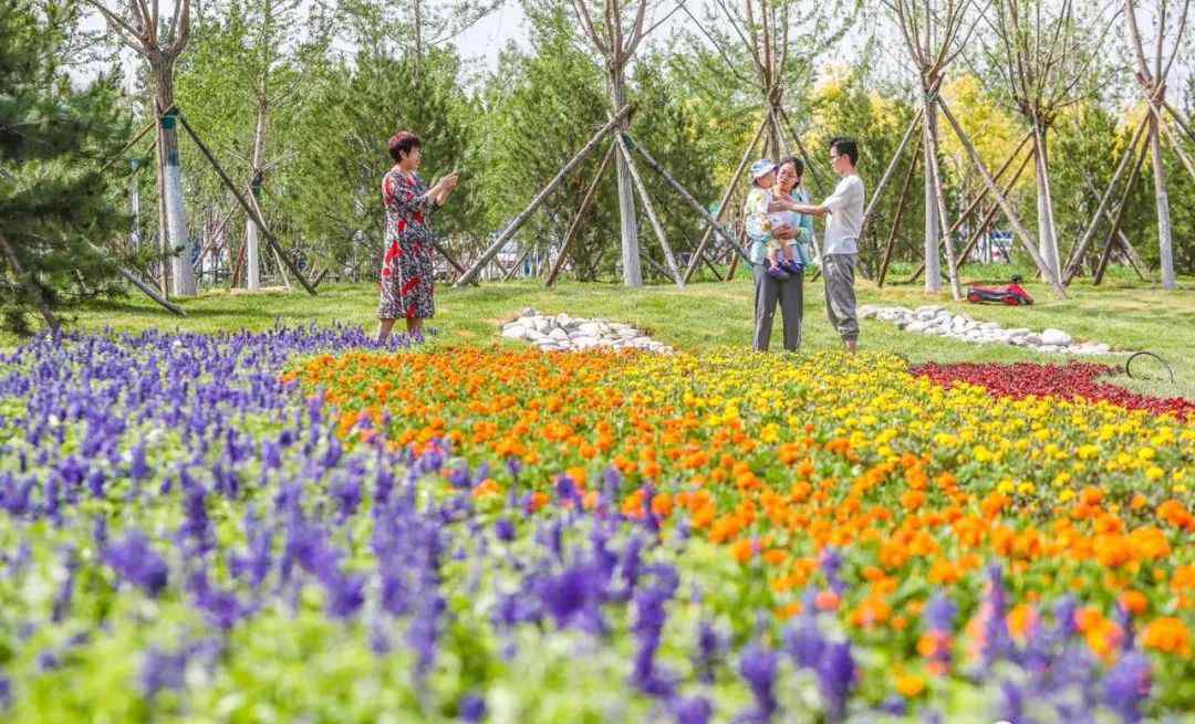 北京占地面積 今天上午，北京京南最大城市森林公園開放！占地面積約5508畝