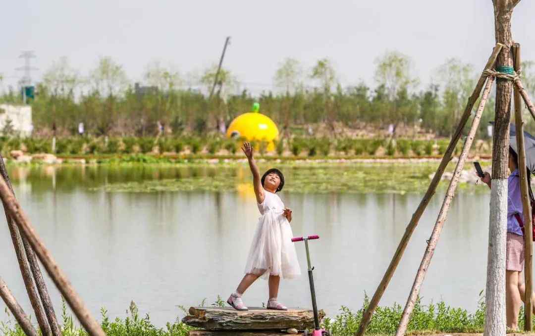 北京占地面積 今天上午，北京京南最大城市森林公園開放！占地面積約5508畝