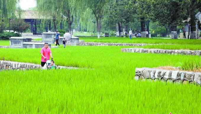 北塢村 北京西郊?xì)v史文化保護(hù)區(qū)園外園景觀提升，8處山水田園托起“三山五園”