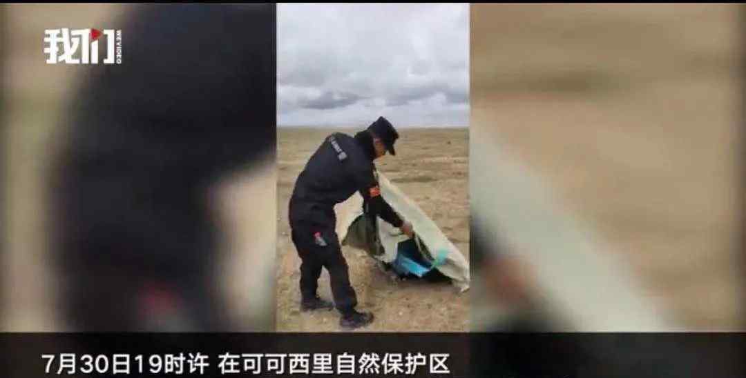 可可西里失聯(lián)女生:死亡后被動物攻擊