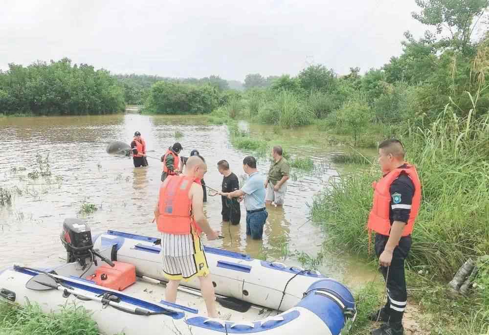 村民十幾頭牛在臺(tái)風(fēng)中被洪水沖走 街道眾多店鋪被淹