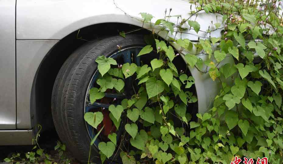 杭州＂豪車墳場＂ 百萬豪車扣押數(shù)年成僵尸車