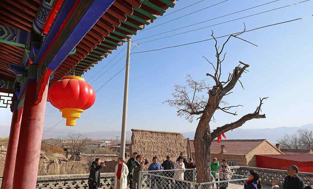 村里老樹(shù)已經(jīng)死亡60年 奇跡畫(huà)面出現(xiàn)引眾人圍觀驚嘆