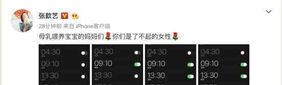 張歆藝曬每日泵奶鬧鐘圖 感嘆:母乳喂的媽媽真了不起