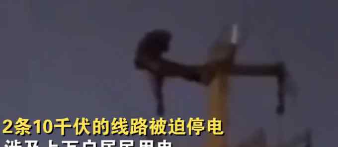 男子半夜爬上電線桿做仰臥起坐 上萬用戶被迫停電 網(wǎng)友：咋爬上去的？