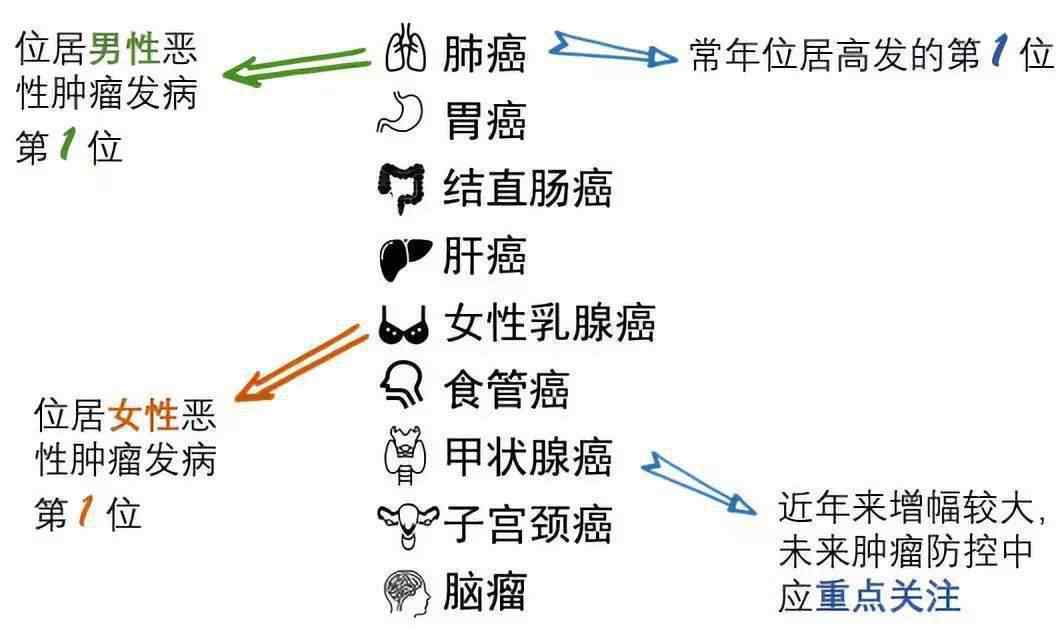 朱迅甲狀腺術(shù)后照片 確認(rèn)了！甲狀腺癌已成第一高發(fā)重疾，連央視主持人朱迅也沒能幸免！