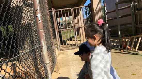 大S汪小菲帶女兒動物園游玩 一家三口其樂融融 畫面溫馨有愛