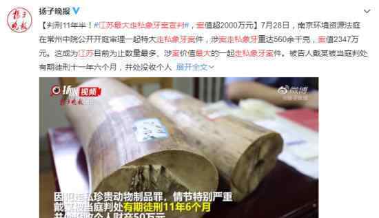 江蘇最大走私象牙案宣判 具體什么情況