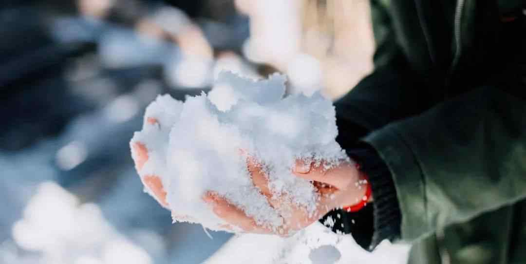 哈爾濱大雪 東北第一場大雪，剛拍的，驚呆朋友圈！