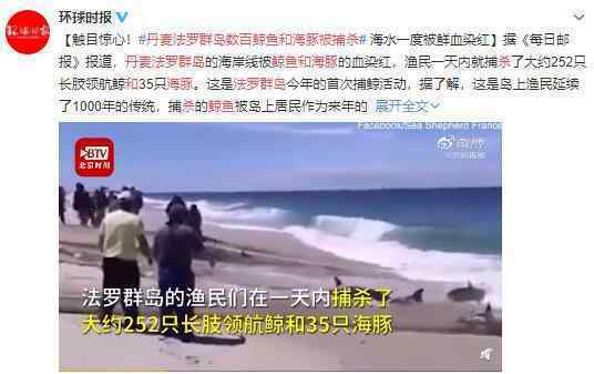 丹麥法羅群島數(shù)百鯨魚和海豚被捕殺 血染海灣 觸目驚心