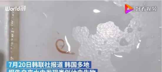 韓國多地自來水現幼蟲樣生物 是什么蟲子具體什么情況