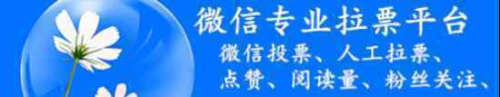 談?wù)勎⑿耪胰送镀痹趺词召M(fèi)，網(wǎng)上哪里可以找人幫忙投票