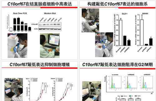 小學生研究癌癥治療獲全國獎 實驗中不懂"基因"是啥