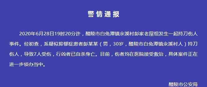 湖南一男子持刀傷7人后自殺身亡 警方：疑患抑郁癥