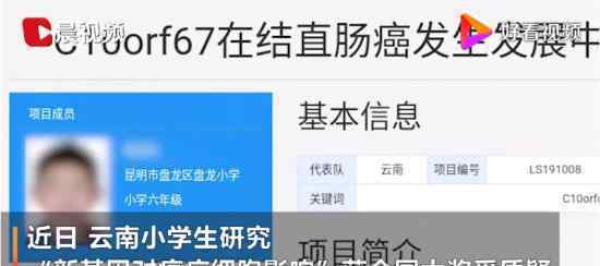 小學(xué)生研究基因獲全國大獎引質(zhì)疑 19年曾有類似研究發(fā)表