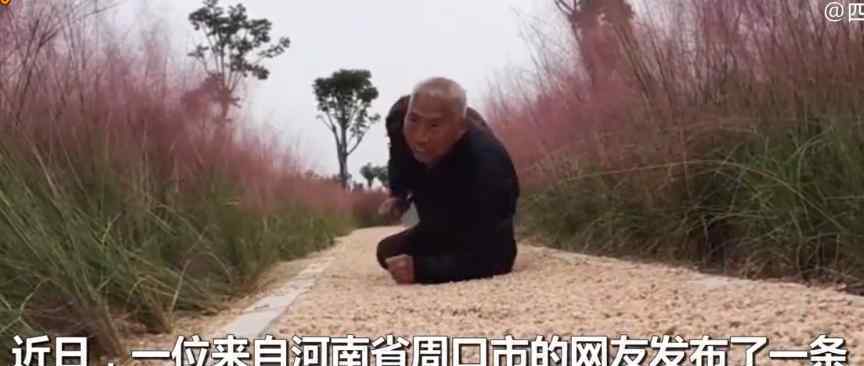 73歲爺爺讓孫女拍攝匍匐前進(jìn) 為什么要這樣做