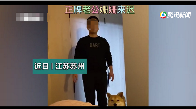 柴犬與男主人爭(zhēng)奪“老公”稱號(hào) 被一頓“收拾”仍不消停