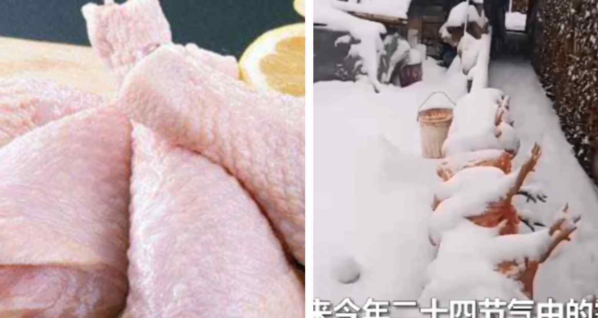 最冷小鎮(zhèn)居民把雞肉放雪里保鮮 天然冰箱不錯