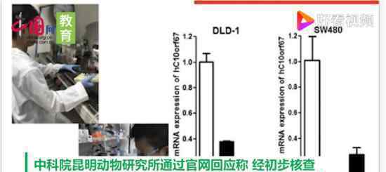 官方回應(yīng)小學(xué)生研究基因獲獎 確認(rèn)是研究員之子