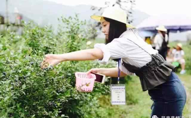 福鼎論壇 我是福鼎論壇主編，一個(gè)矛盾的人