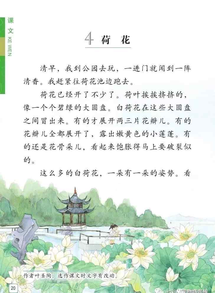 小學(xué)三年級荷花課文 這篇小學(xué)三年級的課文《荷花》，今天竇愛莉帶你的孩子一起讀