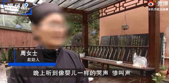 湖南女子深山里解救被困黃麂 抱回家后調(diào)看監(jiān)控嚇出一身冷汗！