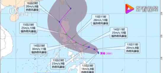 1號臺風黃蜂生成 具體什么情況對我國有影響嗎