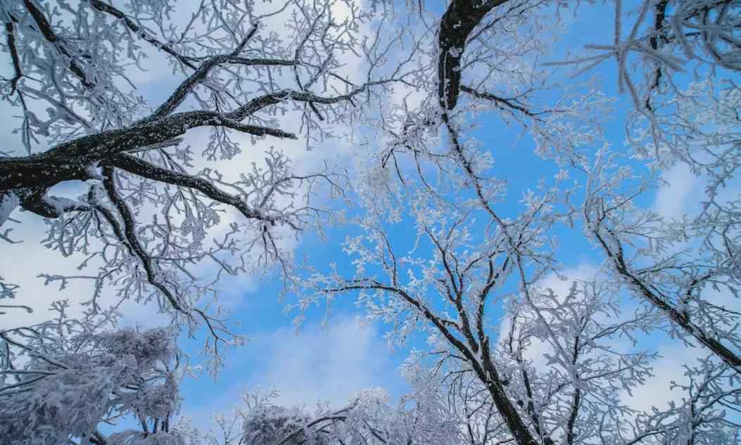 河南多景區(qū)飄起鵝毛大雪 景區(qū)景色會是怎么樣