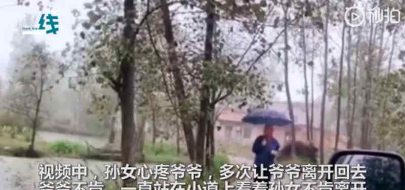 孫女返程爺爺雨中相送不肯離開 為什么會(huì)這樣