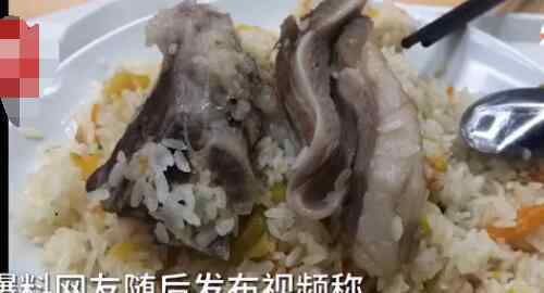 新疆高校食堂大叔校園里追羊 為什么會這樣