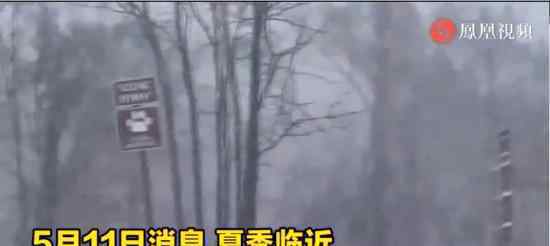 紐約遭遇罕見暴風(fēng)雪襲擊 原因是什么具體什么情況