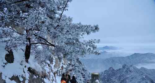 河南多景區(qū)飄起鵝毛大雪 景區(qū)景色會是怎么樣